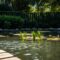 backyard pond installation