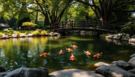 custom koi pond