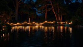 holiday lighting pond