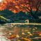 koi pond building