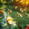 koi pond health