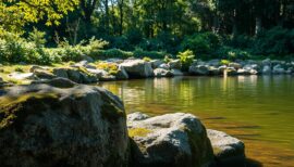 natural stone landscaping