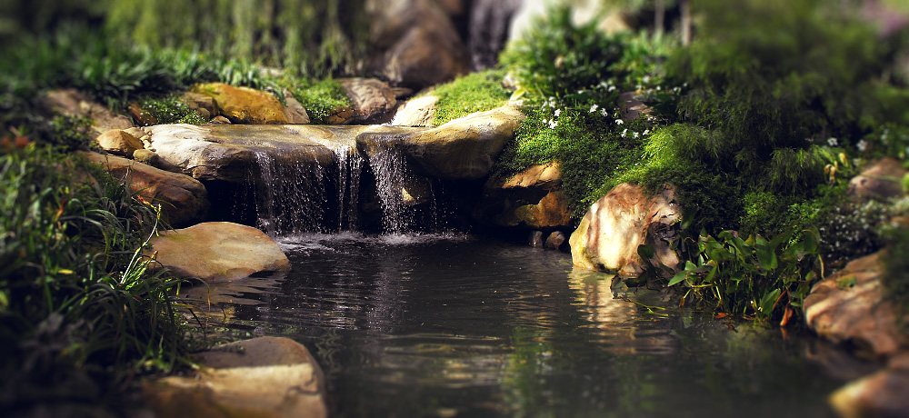 Provo Affordable Ponds