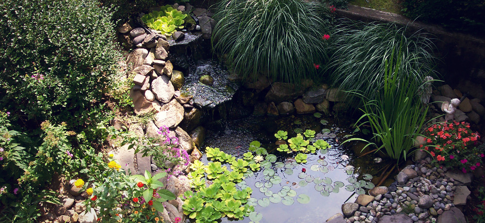 Salt Lake City Ponds