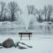 winter fountain care